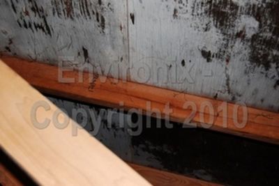 Severe Attic Mold