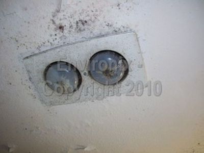 bathroom mold - exhaust fan