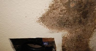 How can I remove mold in a bathroom?