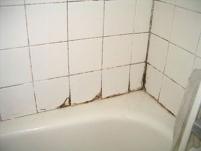 bathroom mold - shower tile