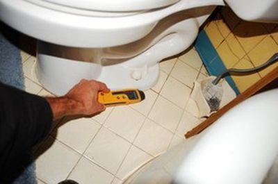 bathroom mold - toilet