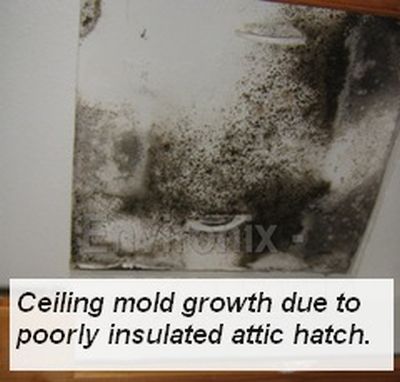 Mold growing on ceiling