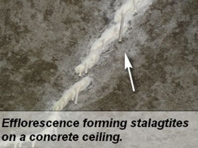 What causes white mold on a basement floor?