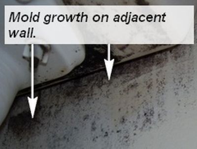 Toilet mold problems