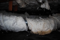 Mold growth on ducting from water