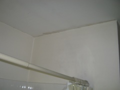 Bathroom ceiling mold