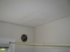 Mold on bathroom ceiling | Mold in bathroom | Environix, Inc.