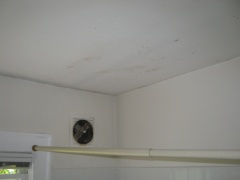 How To Get Rid Of Mold On Bathroom Ceiling Amazing Ideas