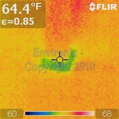 Mold inspection