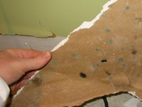 photo of flooding event requiring mold removal