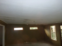 Roof leak mold