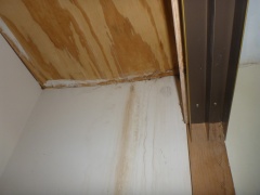 Water damage on Ceiling from Roof Leak