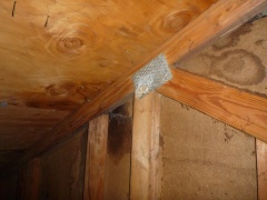 Mold in Attic