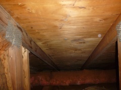 Mold in Attic Sheathing