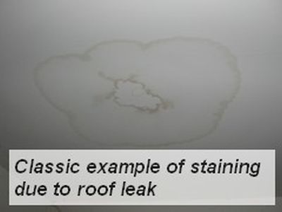 Roof leak before mold growth on ceiling occurs.