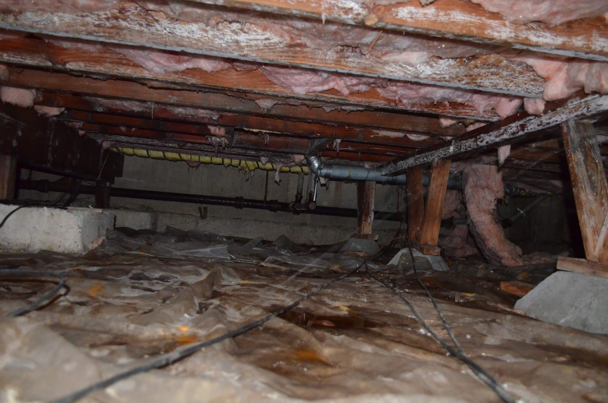 Mold Growth On Joists In Crawlspace Environix