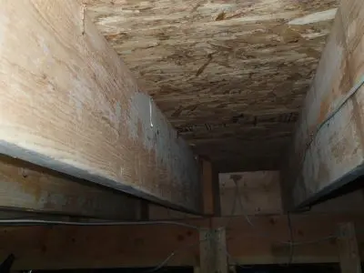 White Mold on Joists