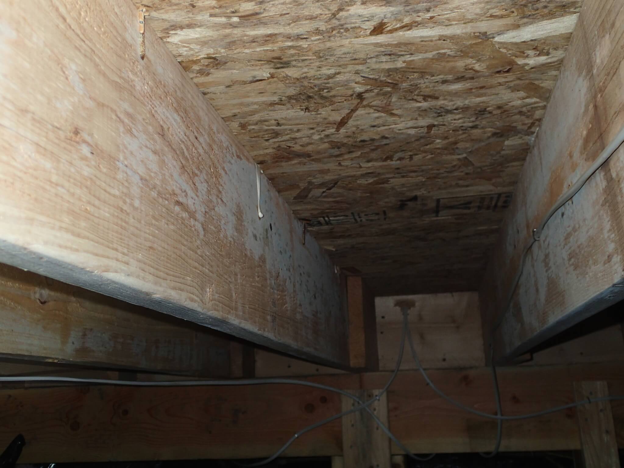 Mold Growth On Joists In Crawlspace Environix