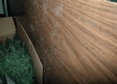 Mold on contents near exterior walls from high humidity.