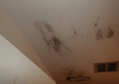 Mold on bathroom ceiling.