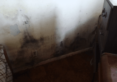 Mold Inspection and Testing Seattle