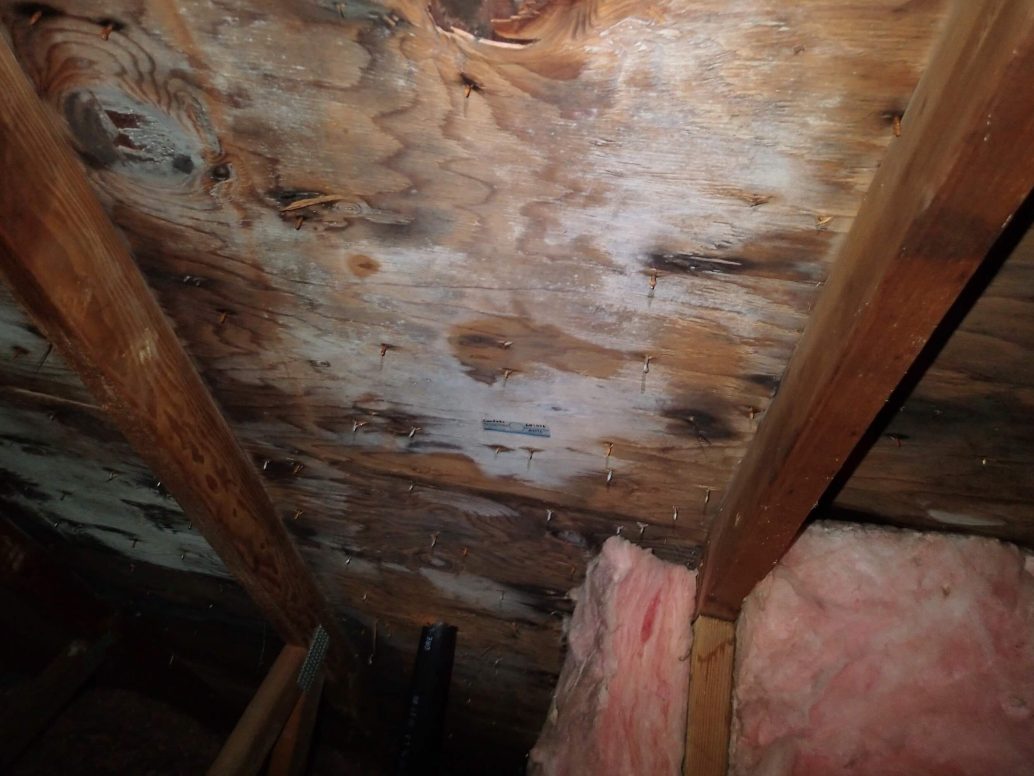 Types of Mold Environix