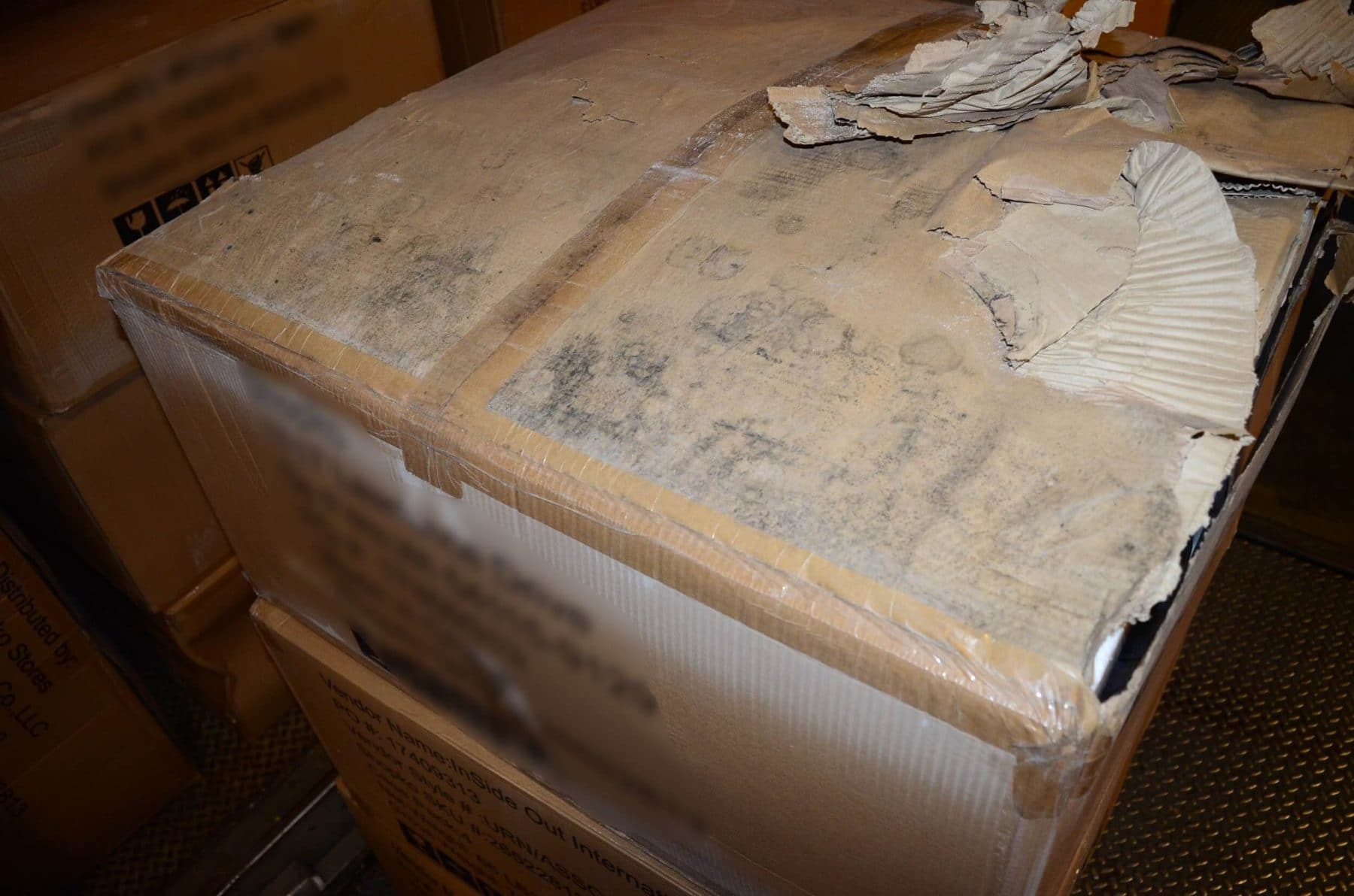 companies that test for mold in homes near me