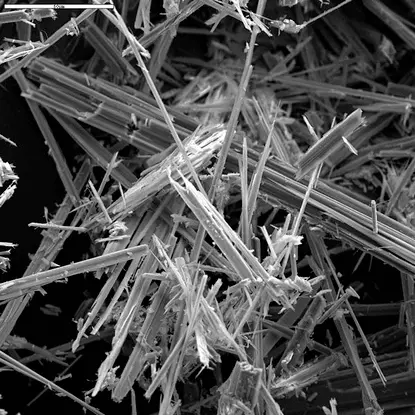 Asbestos under microscope