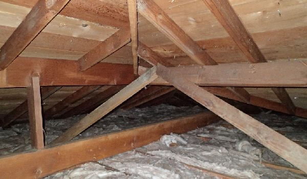 Attic Mold Find Permanent Solutions Environix