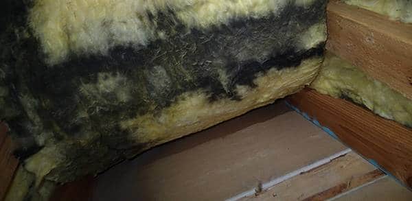 Soot & dirt deposits on insulation.