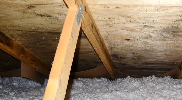 Attic mold in well vented roof/attic.