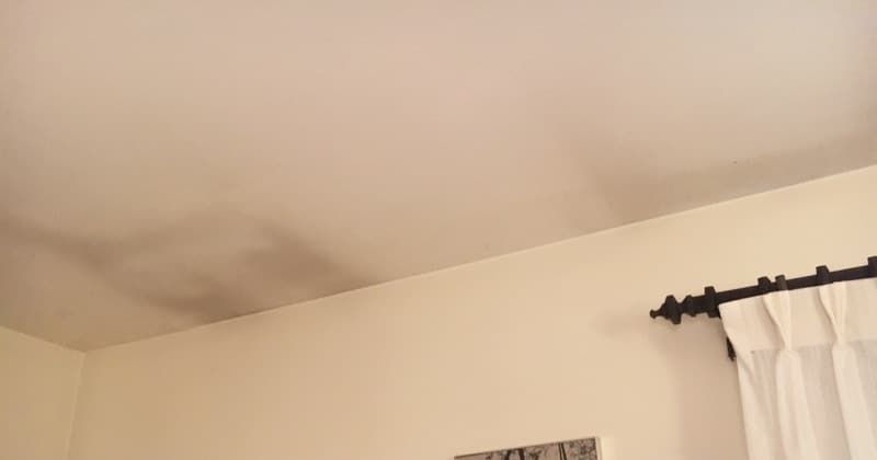 Black staining on ceiling