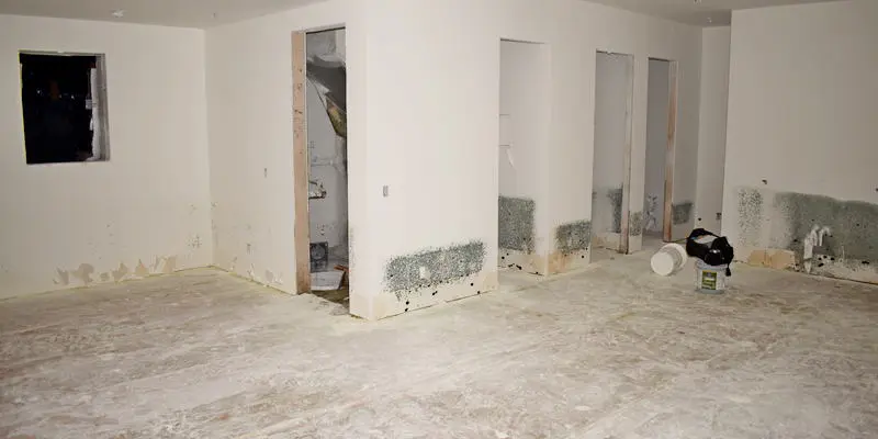 Basement flooding mold wicking