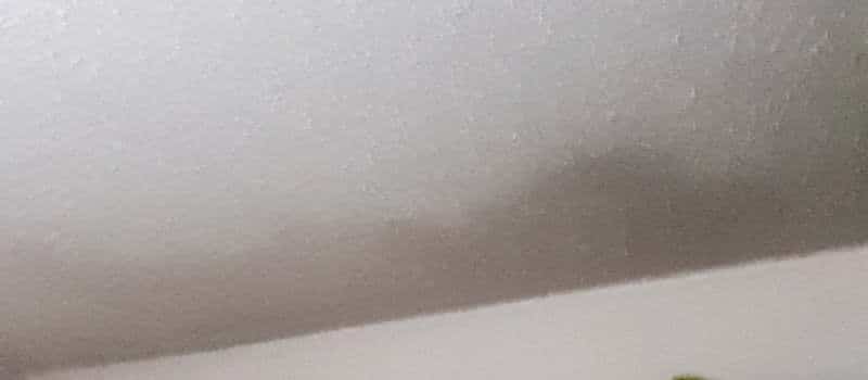 Possible mold growth on bathroom ceiling. 