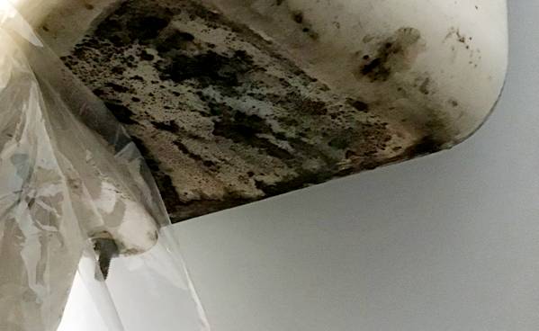 Bathroom Mold Removal - Environix