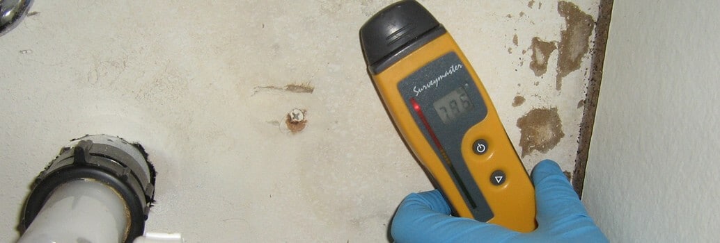 Bathroom Mold | How to Identify and Get Rid of Mold in Bathroom - Environix