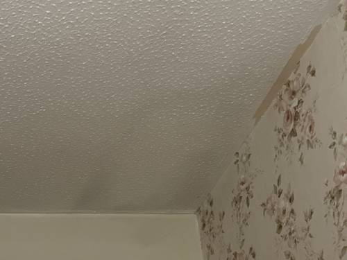 Black staining on ceiling.