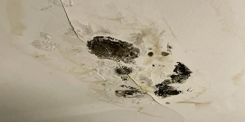 A roof leak causing mold growth.