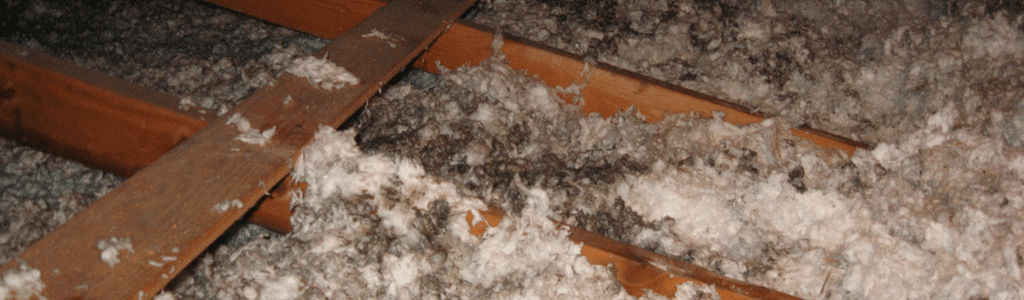 Black mold can also grow on insulation in an attic.
