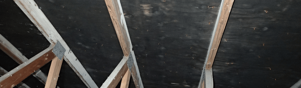 Black mold on attic sheathing