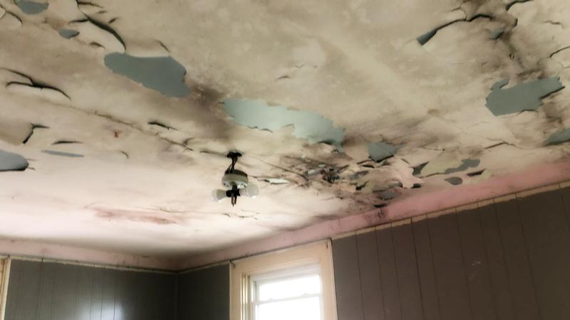 Ceiling mold or smoke? 