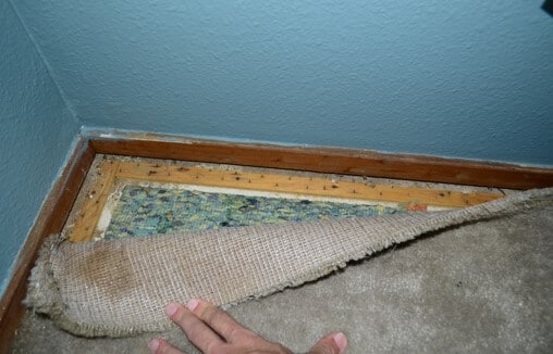 No Significant Water Intrusion or Water Damage
