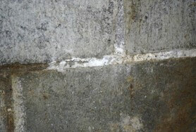 Efflorescence On Wall