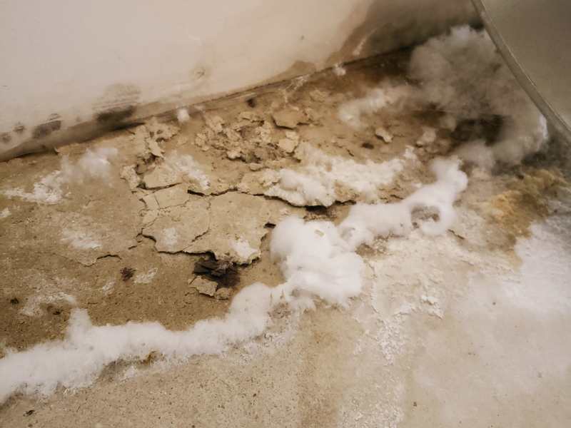 Prevent Mold Growth On Concrete, Efflorescence On Painted Basement Walls