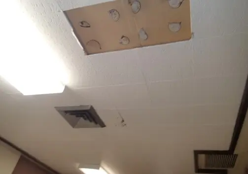 Ceiling tiles have fallen in lounge area