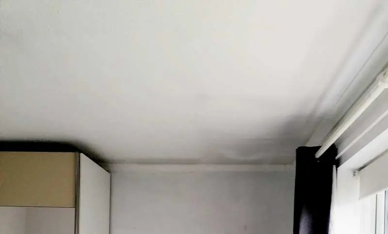 Ghosting or mold on ceiling.