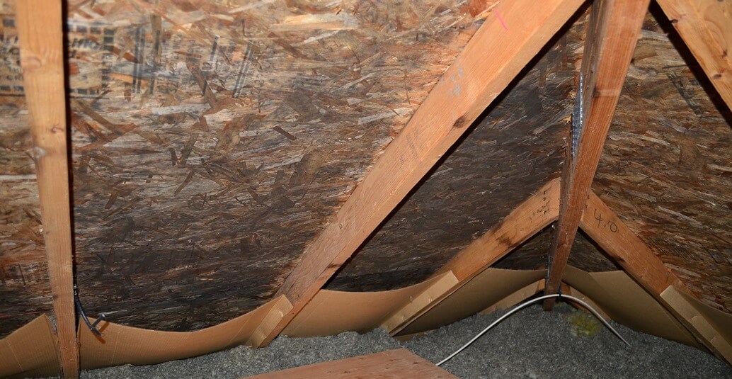 Hip roof with mold growth