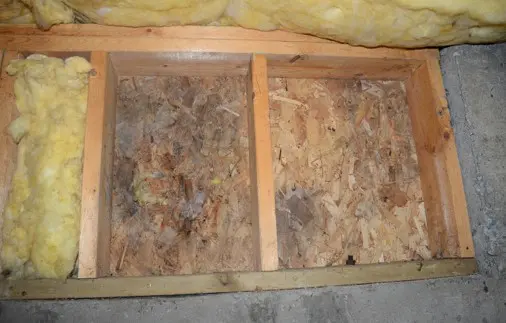 Moderate Mold on Inside of Wall