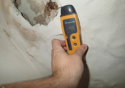 Mold Abatement Services in Seattle WA