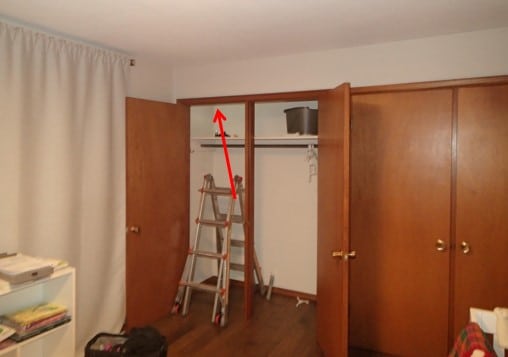 Mold Removal Seattle WA
